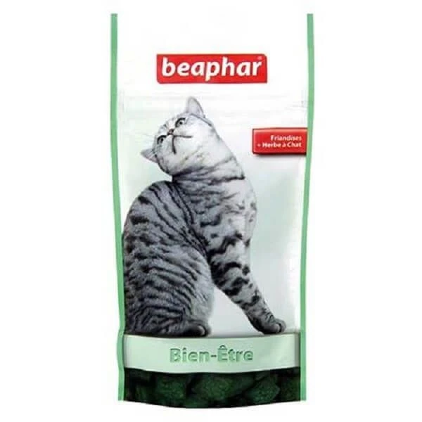 Beaphar Friandises Herbe à Chat Bien être 35 G 3 Beaphar Friandises Herbe à Chat Bien être 35 G