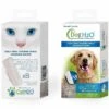 Dental Care Pour Fontaine à Eau Cat Et Dog H2O X 8 -Animalerie dental care pour fontaine a eau cat et dog h2o x 8 la compagnie des animaux 2