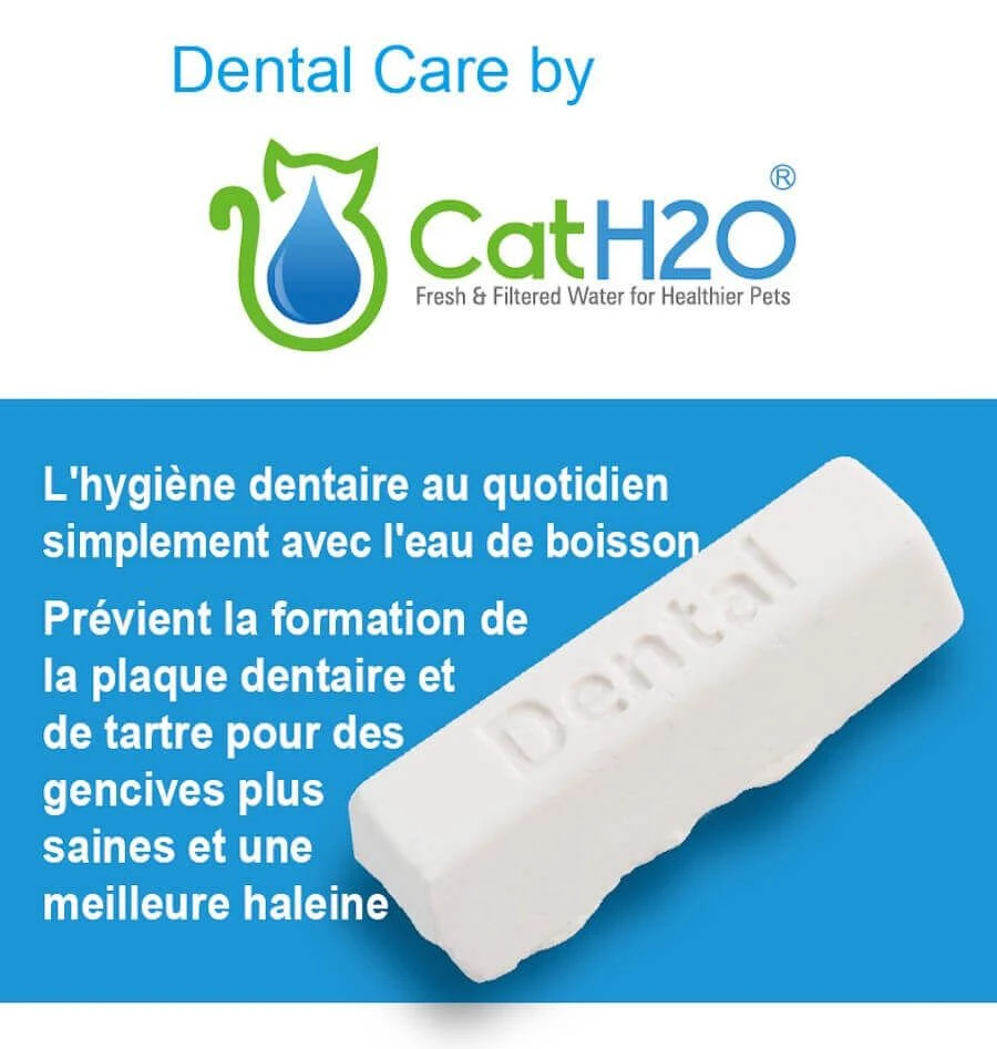 Dental Care Pour Fontaine à Eau Cat Et Dog H2O X 8 – Image 2