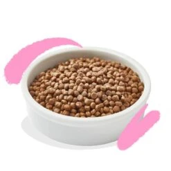 Edgard & Cooper Poulet & Canard Chaton 2 Kg -Animalerie edgard cooper poulet canard chaton 2 kg 3