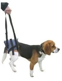 Harnais Handy Canis Pattes Arrières XL