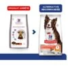 Hill's Science Plan VetEssentials Canine Healthy Digestive Biome Medium 10 Kg 2 Hill's Science Plan VetEssentials Canine Healthy Digestive Biome Medium 10 Kg -Animalerie hill s science plan vetessentials canine healthy digestive biome medium 10 kg 2