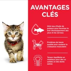 Hill's Science Plan Hill's Science Plan Feline Kitten Healthy Development Pack Mixte Sachets 12 X 85 Grs -Animalerie hill s science plan kitten healthy development pack mixte sachets 12 x 85 grs4
