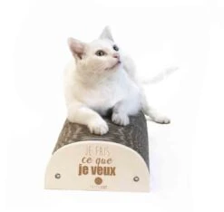 Homycat Griffoir "Je Fais Ce Que Je Veux " - Destockage