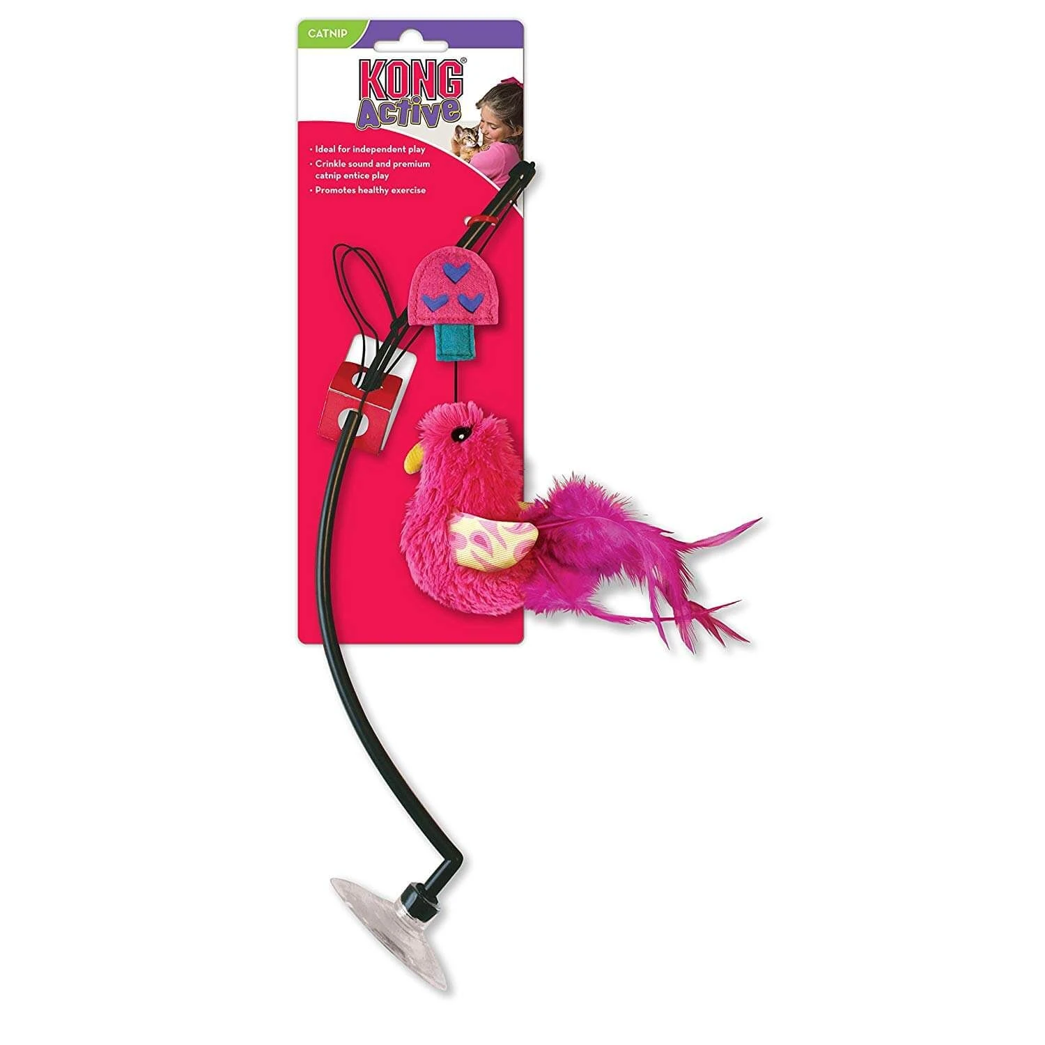 KONG Canne à Pêche Fenêtre Pour Chat