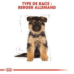 Royal Canin Berger Allemand Puppy 12 Kg -Animalerie royal canin berger allemand junior 6 1