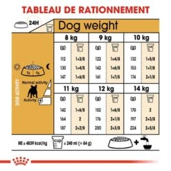 Royal Canin Bouledogue Français Adult 9 Kg -Animalerie royal canin bouledogue fran ais adult rationnement 1 1