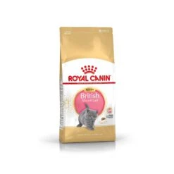 Royal Canin British Shorthair Kitten 10 Kg