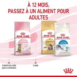 Royal Canin Feline Health Nutrition Kitten Sterilised 400 G -Animalerie royal canin feline health nutrition kitten sterilised 5 2