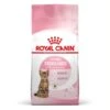 Royal Canin Feline Health Nutrition Kitten Sterilised 2 Kg -Animalerie royal canin feline health nutrition kitten sterilised 9