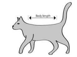 Buster Body Suit Chat XS -Animalerie sche m 1 1