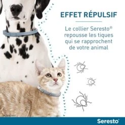 Seresto Collier Antiparasitaire Chat X2 -Animalerie serestochatchien