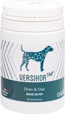 Versikor 500 Chien Et Chat 60 Cps